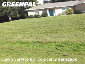 Yard Mowing nearby North Port, FL, 