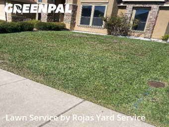 Lawn mowed in Edinburg, 78539