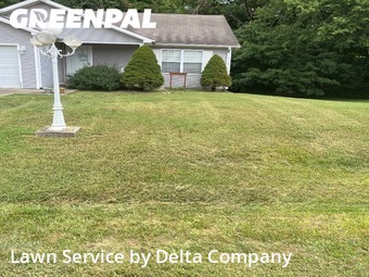 Yard Cutting nearby Bowling Green, KY, 