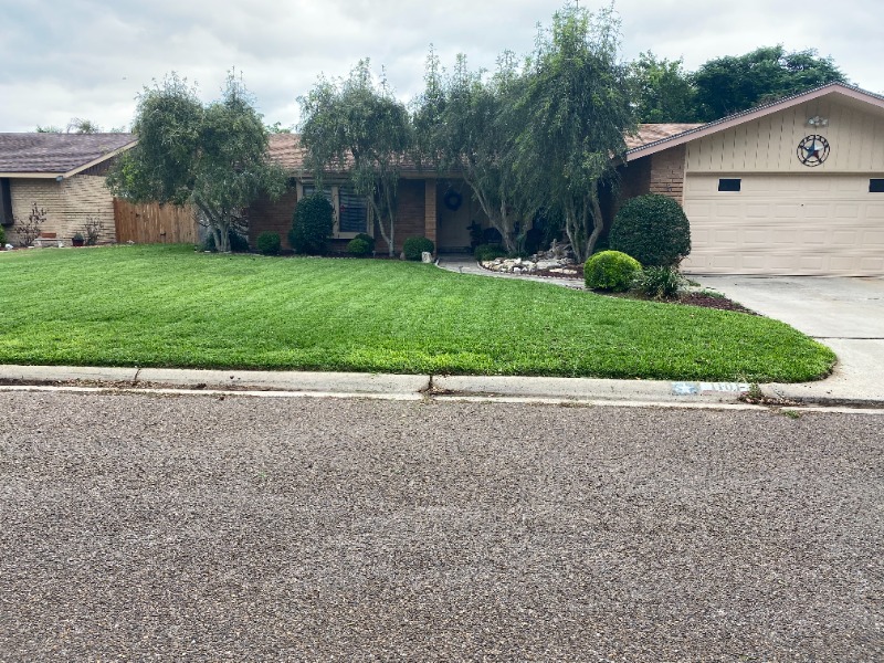 Lawn Care Service in Harlingen, TX, 78550