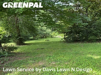 Grass Cut nearby Knoxville, TN, 