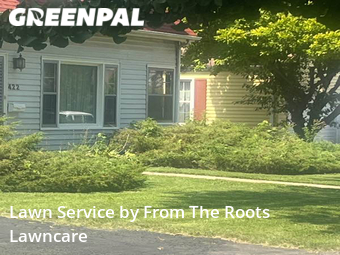 Grass Cutting nearby Elmhurst, IL, 