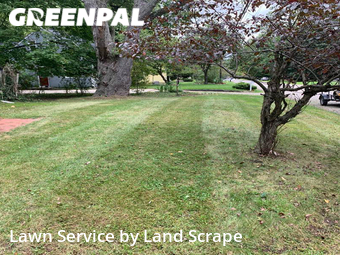 Grass Cut nearby Kalamazoo, MI, 