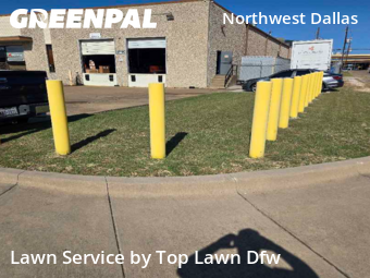Grass Cut nearby Dallas, TX, 