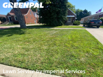 Lawn Mow nearby Evergreen Park, IL, 