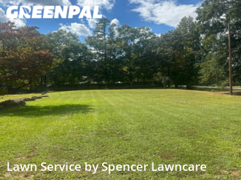 Lawn Maintenance nearby Piedmont, SC, 