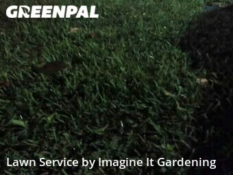 Lawn Cut nearby Miramar, FL, 