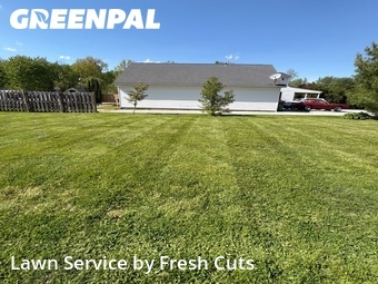 Yard Cutting nearby Painesville, OH, 