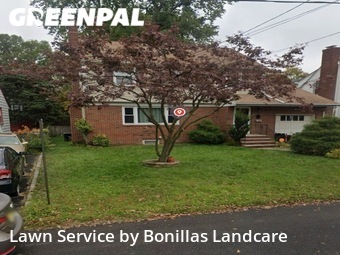 Grass Cut nearby Hillside, NJ, 