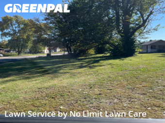 Turf Services in Granite City, 62040, Turf Services by No Limit Lawn Care, work completed in Dec , 2025