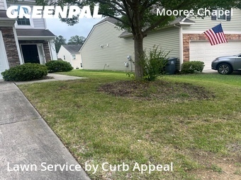 Grass Cutting nearby Charlotte, NC, 