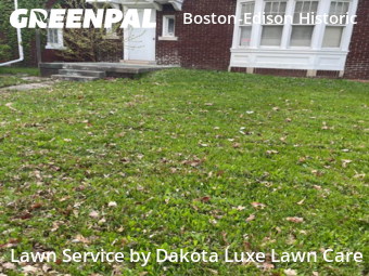 Lawn Mow nearby Detroit, MI, 