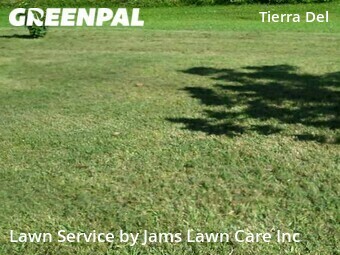 Lawn Mowing nearby Land O' Lakes, FL, 