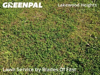 Lawn Mowing Service nearby Atlanta, GA, 