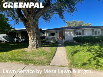 Lawn Care nearby Englewood, CO, 