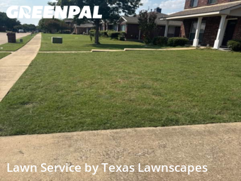 Lawn Management in Murphy, 75094, Yard Upkeep by Texas Lawnscapes, work completed in Oct , 2025