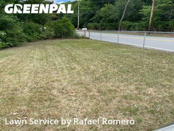 Grass Cut nearby Wilmington, MA, 