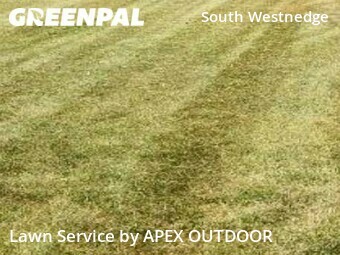 Lawn Mowing Service nearby Kalamazoo, MI, 