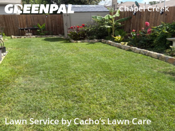 Lawn Cut nearby Fort Worth, TX, 