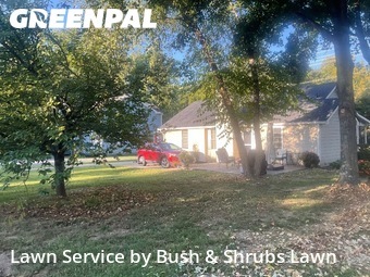 Lawn Servicein Franklin,37064,Lawn Care Service by Bush & Shrubs Lawn, work completed in Nov , 2025
