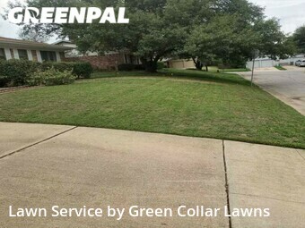 Lawn Cut nearby Fort Worth, TX, 