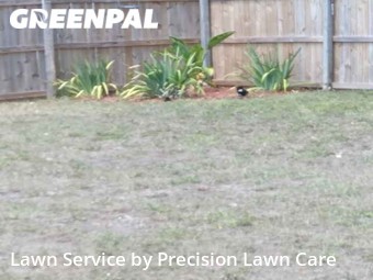 Grass Cutting nearby Holiday, FL, 