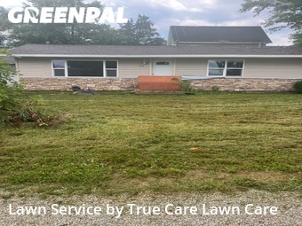 Lawn Cut nearby Dewey, IL, 