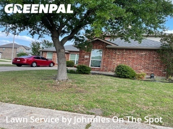 Lawn Mow nearby Forney, TX, 