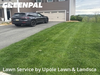 Lawn Mowing Service nearby Washington, PA, 