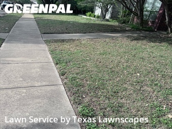 Lawn mowed in Rowlett, 75089