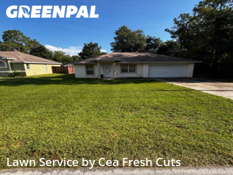 Lawn Cutting nearby Ocala, FL, 