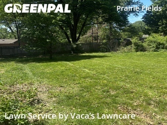 Grass Cutting nearby Prairie Village, KS, 