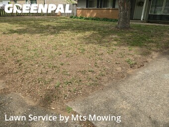 Yard Cutting nearby Rockford, IL, 