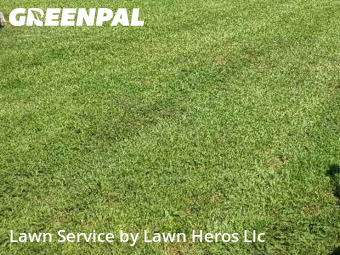 Lawn Care nearby Browns Summit, NC, 