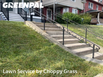Grass Cut nearby Hackensack, NJ, 
