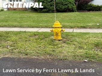 Lawn Cut nearby Cheektowaga, NY, 