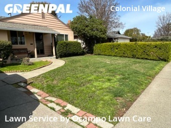 Lawn Cut nearby Sacramento, CA, 