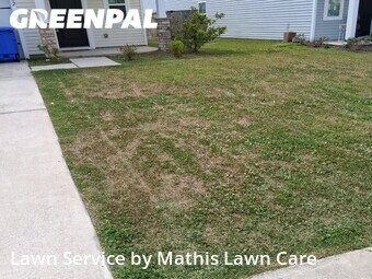 Lawn mowed in Charleston, 29414