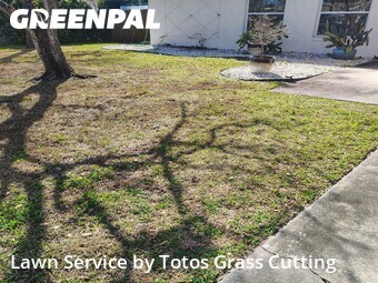 Lawn Cutting nearby Winter Park, FL, 