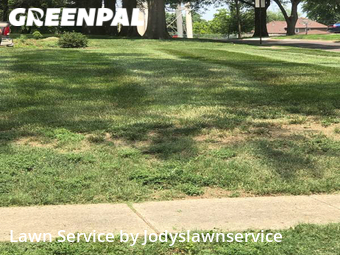 Lawn Care nearby Papillion, NE, 