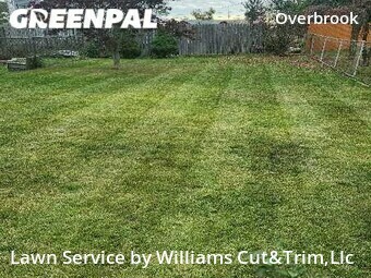 Yard Mowing nearby Pittsburgh, PA, 
