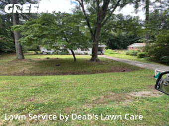 Lawn Maintenance nearby Browns Summit, NC, 