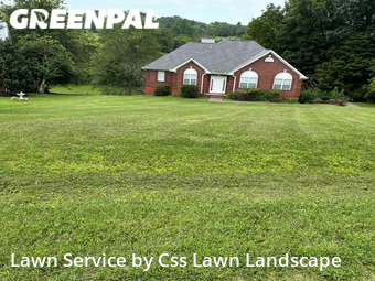 Lawn Mow nearby Cottontown, KY, 