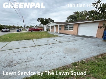Lawn Cut nearby Holiday, FL, 