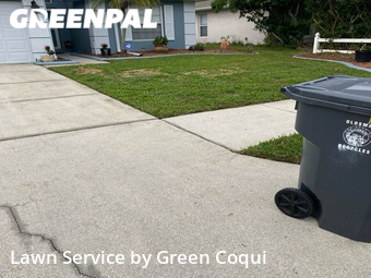 Lawn Mowing Service nearby Oldsmar, FL, 