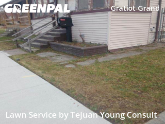 Backyard Landscaping In Detroit,48214,Landscaping Maintenance by Tejuan Young Consult, work completed in Dec , 2025