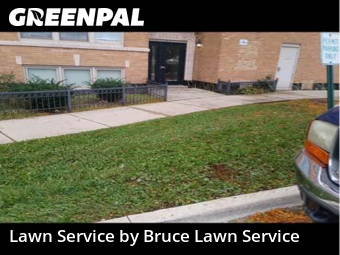 Yard Maintenance in Maywood, 60153, Yard Grooming by Bruce Lawn Service, work completed in Nov , 2025