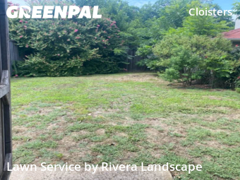 Yard Cutting nearby Plano, TX, 