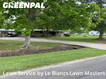 Yard Cutting nearby Saint Martinville, LA, 