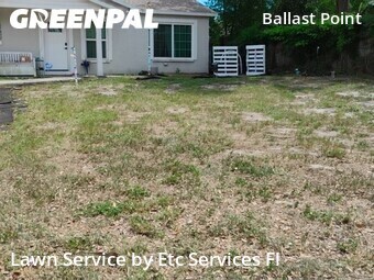 Lawn Cutting nearby Tampa, FL, 